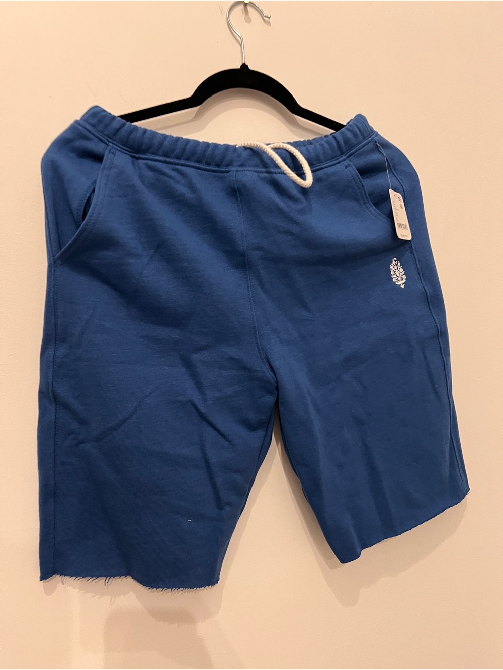 NWT💙Free people movement XS short pants